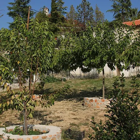 Vagelis *